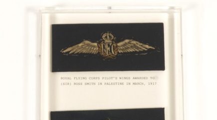 Pilot “wings”