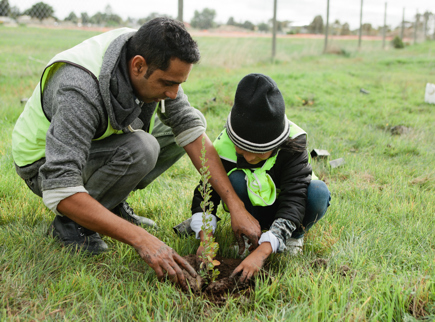 Community