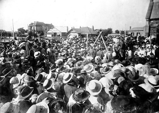crowed