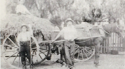 Wally Shiers