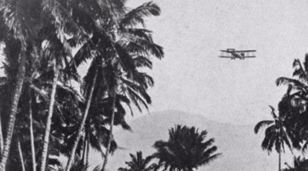 Plane flying through palm