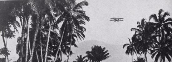 Plane flying through palms