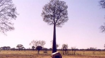 Charleville – memorial cairn